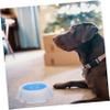 Pet Cooling Bowl for Food and Water, Polypropylene view 3