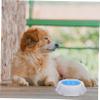 Pet Cooling Bowl for Food and Water, Polypropylene view 4