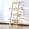 bacedifo 3/4-Tier Angled Wall-Mounted Cat Tree view 2