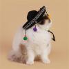 Birthday Hat for Dogs and Cats view 2
