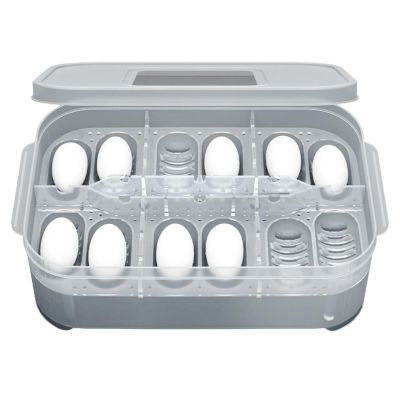 Reptile Hatching Box
