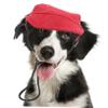 UPKOCH Pet Cap in Oxford and Canvas view 4