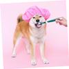 BESTonZON 2-Pack Dog Toothbrushes view 2