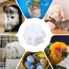 Gerbil Chew Toy, Natural Mineral Grinding Stone and Wooden Chew Blocks view 4