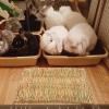 Generic Woven Dog and Cat Bed Cushion view 3