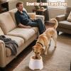 Elevated Dog Food and Cat Water Bowl, 6.69 x 8.86 x 6.3 in view 4