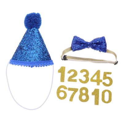 HEMOTON Pet Birthday Hat