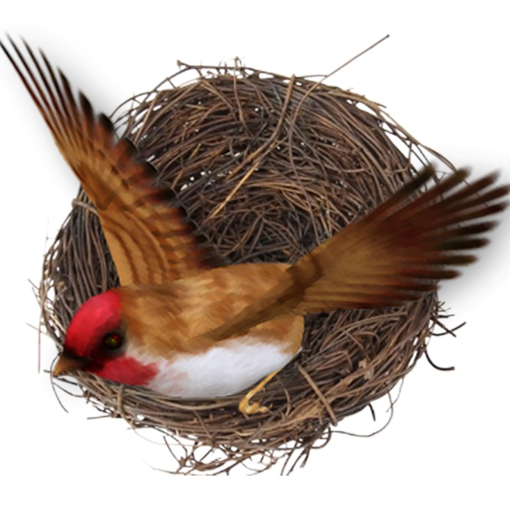 Dtaigou Flat-Base Bird Nest and Small Animal Hideaway