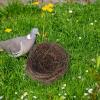 Dtaigou Flat-Base Bird Nest and Small Animal Hideaway view 2