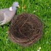 Dtaigou Flat-Base Bird Nest and Small Animal Hideaway view 3