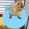 Hogvinnatil Hamster Station view 3