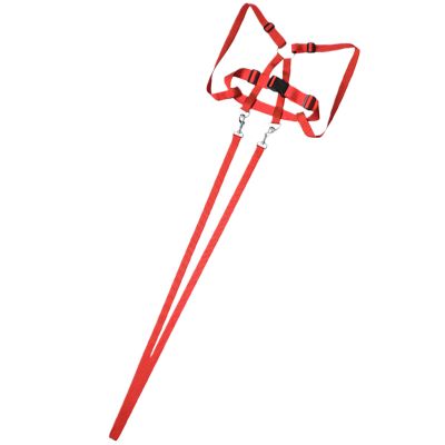 Adjustable Leash Horse Toy for Adults