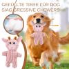 Plush Squeaky Dog Toy for Aggressive Chewers view 2