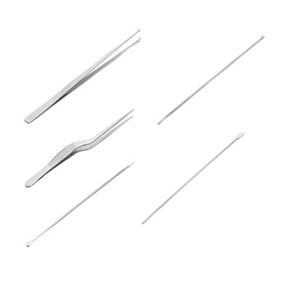 5-Piece Stainless Steel Ear Pick Set for Ear Cleaning, Silver