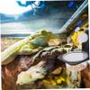 Happyyami Stable Reptile Feeder with Suction Cup view 2