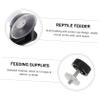 Happyyami Stable Reptile Feeder with Suction Cup view 4