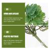 VERDANVERSE Artificial Water Plants for Aquariums view 4