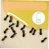 Toddmomy Mini Liquid Feeder, 10 mL view 4