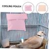 COMPUKAS Hanging Cooling Bag for Small Animals, Pink, Summer view 3