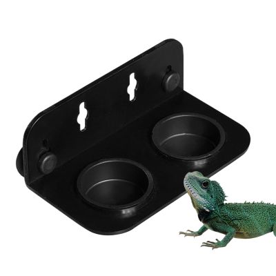 Gecko Feeding Dish with Suction Cup