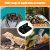 Gecko Feeding Dish with Suction Cup view 4