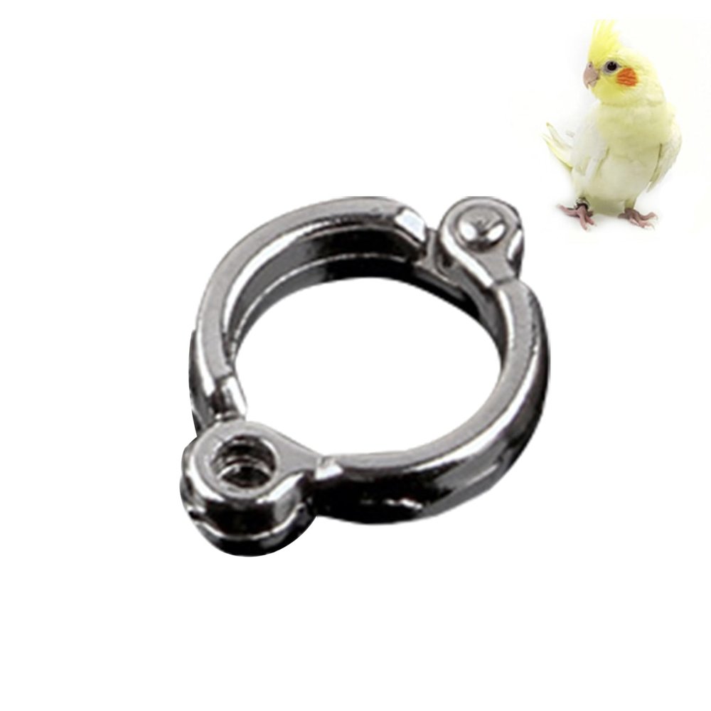 Bird Leg Rings for Pets