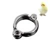 Bird Leg Rings for Pets view 1