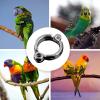 Bird Leg Rings for Pets view 3