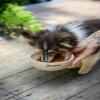 JOSERA Mini Senior | 900 g | Dry Food for Older Small Dogs view 2