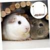 Toddmomy Small Pet Bed for Hamsters and Guinea Pigs - Premium Apple Wood Hammock view 2