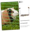 Toddmomy Small Pet Bed for Hamsters and Guinea Pigs - Premium Apple Wood Hammock view 4