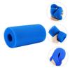HEMOTON Reusable Pool Filter Sponge view 4