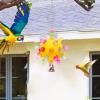 Colorful Parrot Toy for Medium Birds view 2