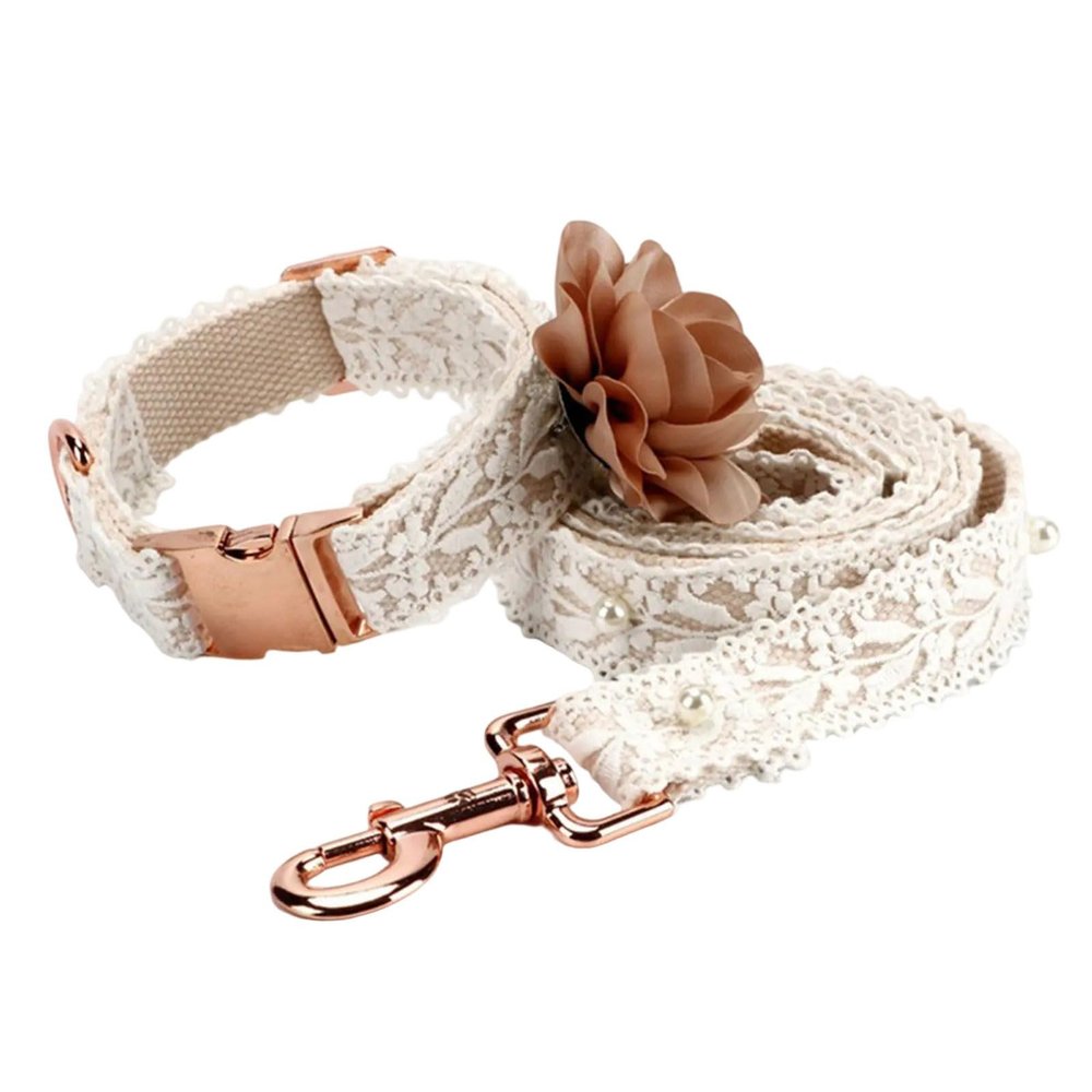 YiQinzcxg Pet Harness and Leash