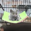 HAPINARY Adjustable Cat Hammock Bed view 4