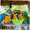 ibasenice 2-Pack Parrot Bath Tub view 3