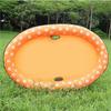 Dog Pool Float, Inflatable Water Mat for Cats and Pets view 3