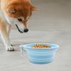 Portable Leakproof Silicone Travel Dog Bowl for Wet and Dry Food view 2