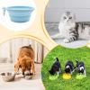 Portable Leakproof Silicone Travel Dog Bowl for Wet and Dry Food view 4