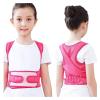 Back Posture Correction Corset and Lumbar Support Brace view 3