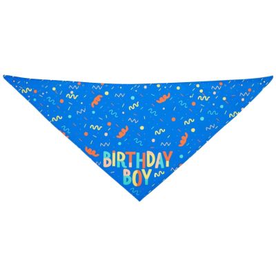 Dog Bandana | Birthday Triangle Scarf with Bone Toy