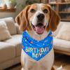 Dog Bandana | Birthday Triangle Scarf with Bone Toy view 2