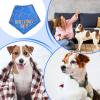 Dog Bandana | Birthday Triangle Scarf with Bone Toy view 4