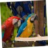 BUGUUYO Wooden Bird Perch view 3