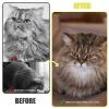 Pet Hair Remover Glove, 2-Pack view 4