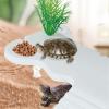 Montesy Large Turtle Platform view 4