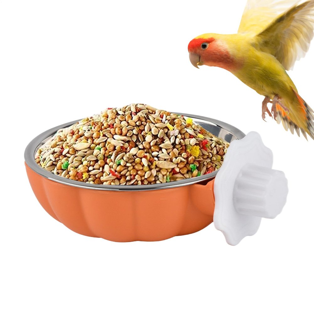 Bird Bowls for Cages | Stainless Steel Feeding & Water Bowl