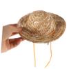 PartyKindom Dog Sun Hat view 3
