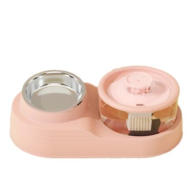 Automatic Dog and Cat Food & Water Dispenser with 16° Tilt