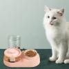 Automatic Dog and Cat Food & Water Dispenser with 16° Tilt view 2